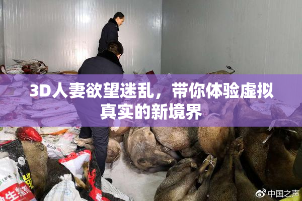 3D人妻欲望迷乱，带你体验虚拟真实的新境界