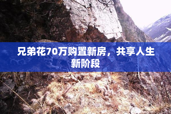兄弟花70万购置新房，共享人生新阶段