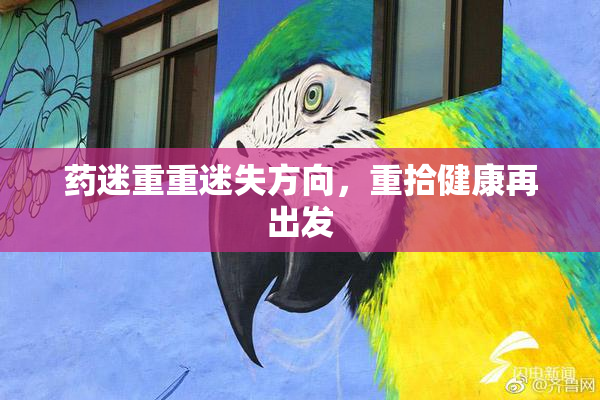 药迷重重迷失方向，重拾健康再出发