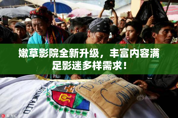 嫩草影院全新升级，丰富内容满足影迷多样需求！