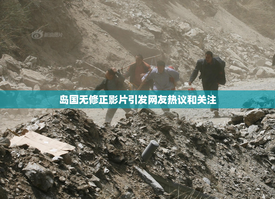 岛国无修正影片引发网友热议和关注