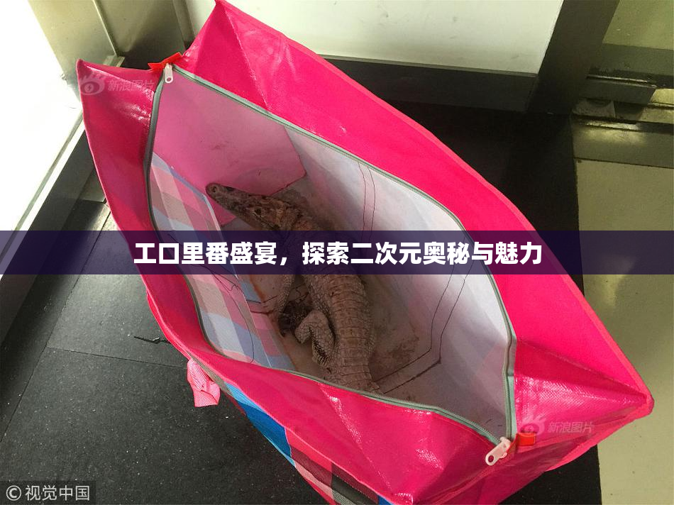 工口里番盛宴，探索二次元奥秘与魅力