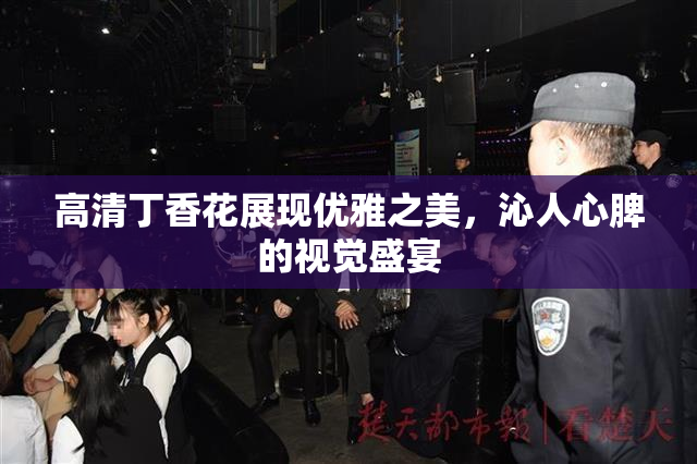 高清丁香花展现优雅之美，沁人心脾的视觉盛宴