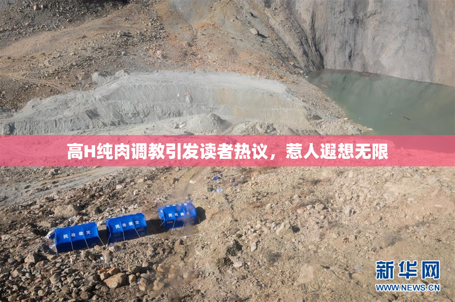 高H纯肉调教引发读者热议，惹人遐想无限