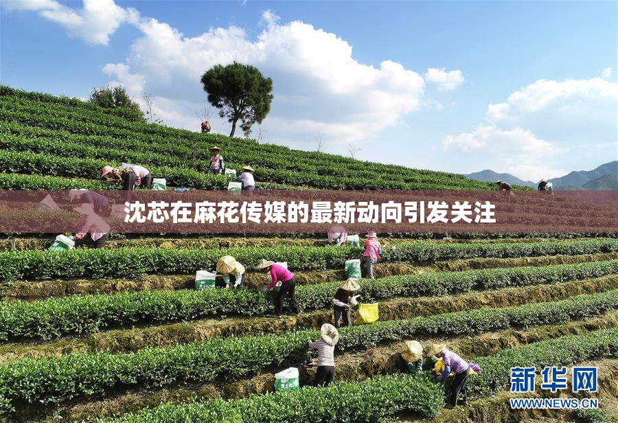 沈芯在麻花传媒的最新动向引发关注