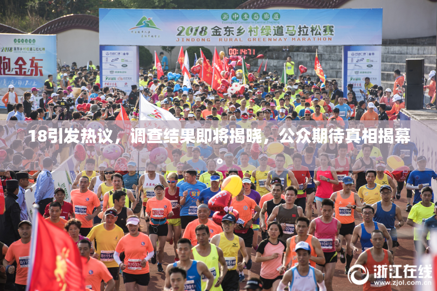 18引发热议，调查结果即将揭晓，公众期待真相揭幕。