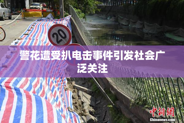 警花遭受扒电击事件引发社会广泛关注