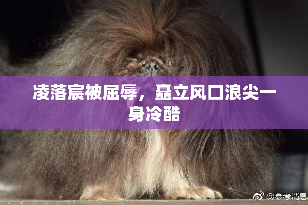 凌落宸被屈辱，矗立风口浪尖一身冷酷