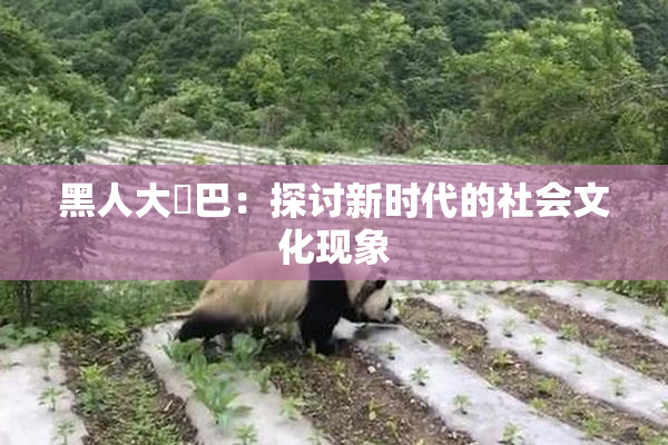 黑人大鷄巴：探讨新时代的社会文化现象