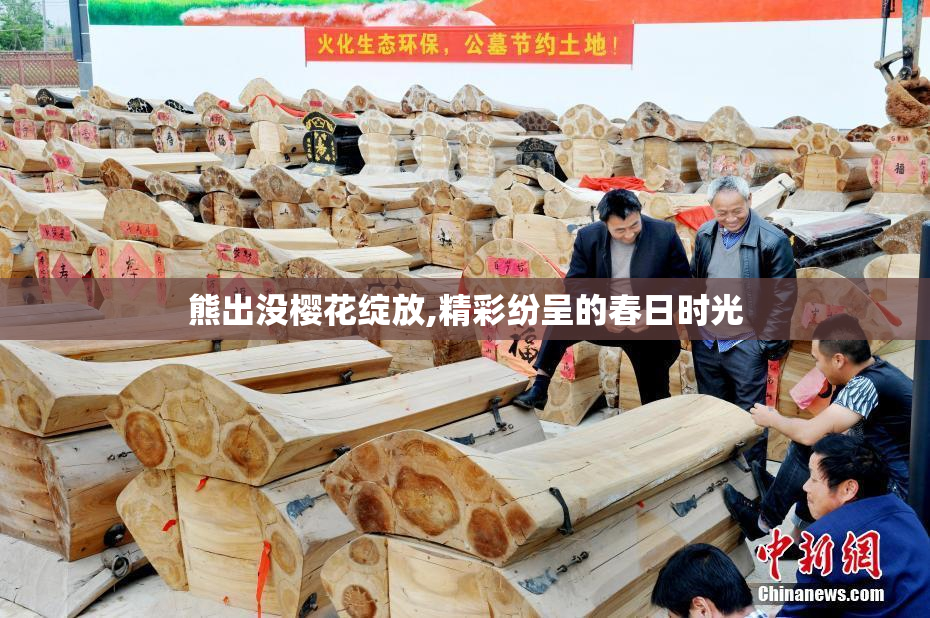 熊出没樱花绽放,精彩纷呈的春日时光