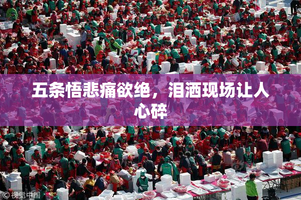 五条悟悲痛欲绝，泪洒现场让人心碎