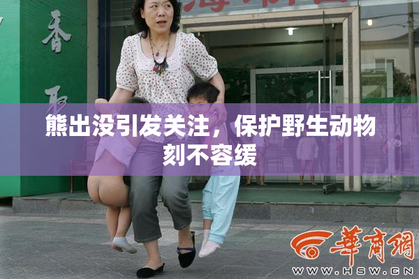 熊出没引发关注，保护野生动物刻不容缓