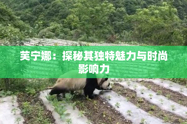 芙宁娜：探秘其独特魅力与时尚影响力