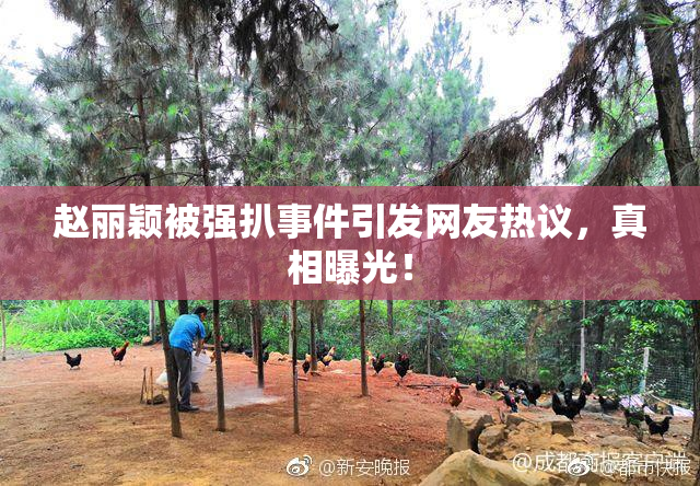 赵丽颖被强扒事件引发网友热议，真相曝光！