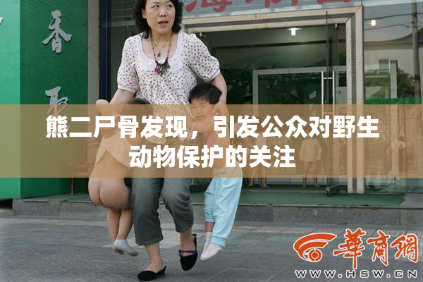 熊二尸骨发现，引发公众对野生动物保护的关注