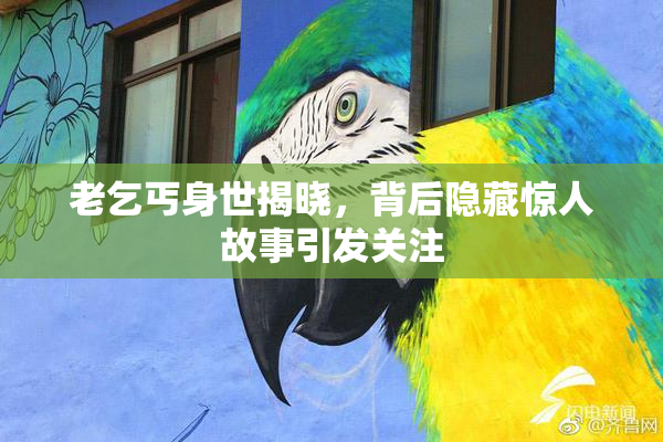 老乞丐身世揭晓，背后隐藏惊人故事引发关注