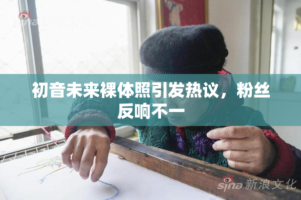 初音未来裸体照引发热议，粉丝反响不一