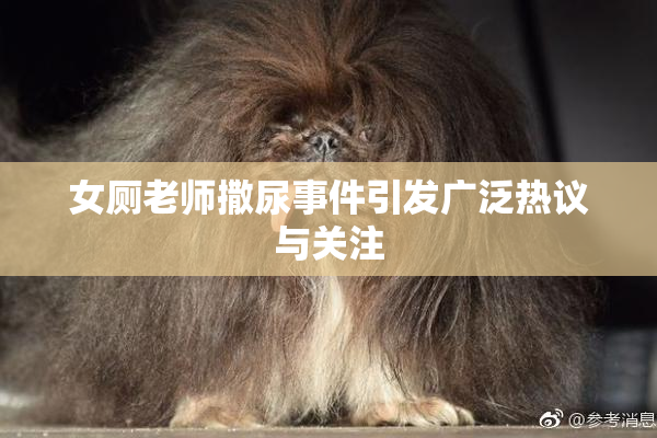 女厕老师撒尿事件引发广泛热议与关注