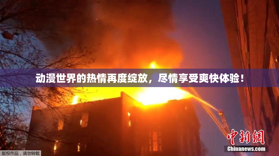 动漫世界的热情再度绽放，尽情享受爽快体验！