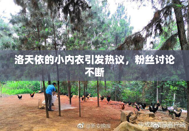 洛天依的小内衣引发热议，粉丝讨论不断