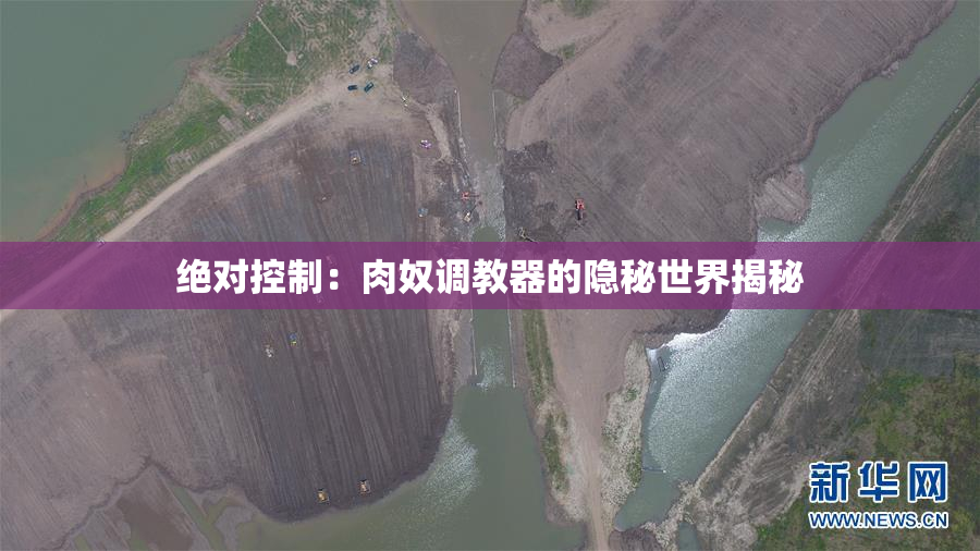 绝对控制：肉奴调教器的隐秘世界揭秘