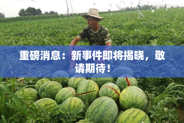 重磅消息：新事件即将揭晓，敬请期待！