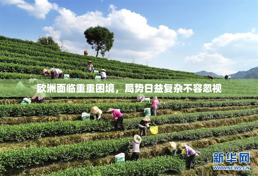 欧洲面临重重困境，局势日益复杂不容忽视