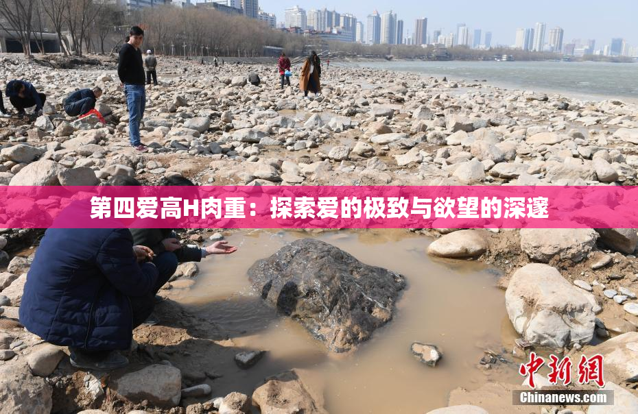 第四爱高H肉重：探索爱的极致与欲望的深邃