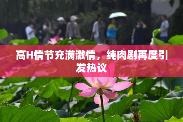 高H情节充满激情，纯肉剧再度引发热议