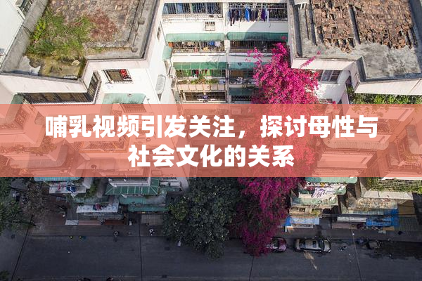 哺乳视频引发关注，探讨母性与社会文化的关系