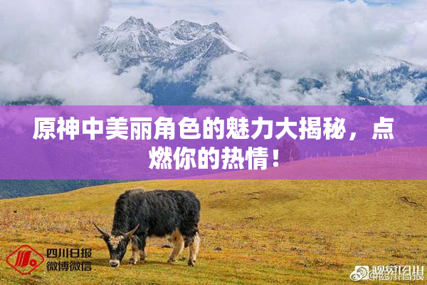 原神中美丽角色的魅力大揭秘，点燃你的热情！