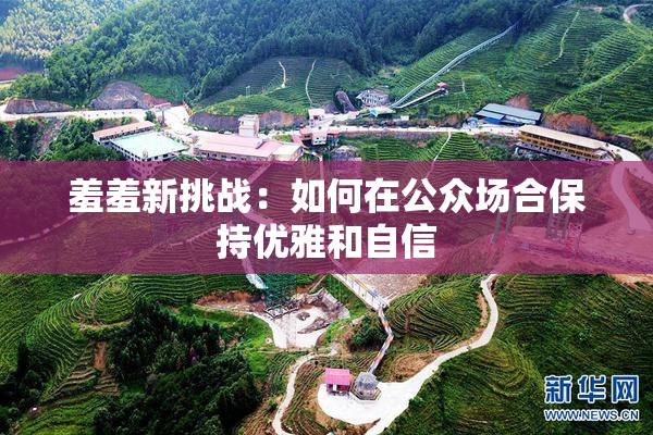 羞羞新挑战：如何在公众场合保持优雅和自信