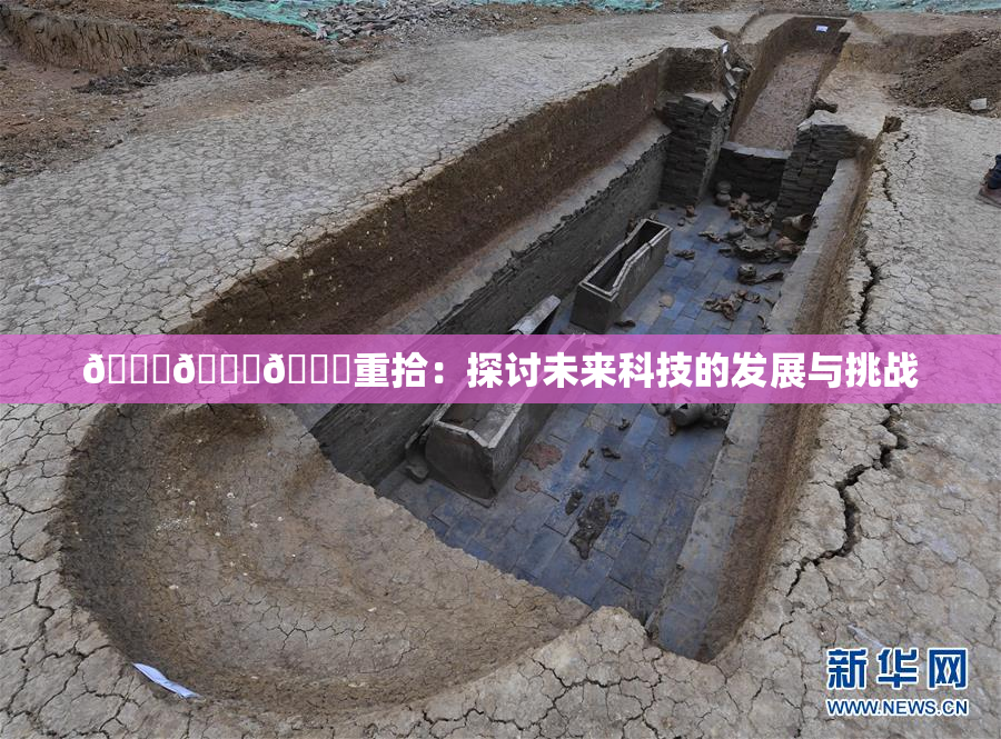 🍆🍑🔞重拾：探讨未来科技的发展与挑战