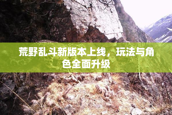 荒野乱斗新版本上线，玩法与角色全面升级