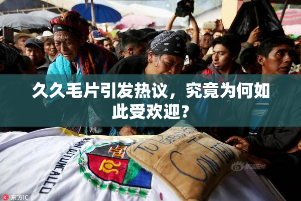 久久毛片引发热议，究竟为何如此受欢迎？
