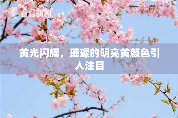 黄光闪耀，璀璨的明亮黄颜色引人注目