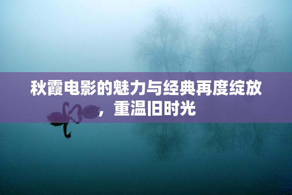 秋霞电影的魅力与经典再度绽放，重温旧时光