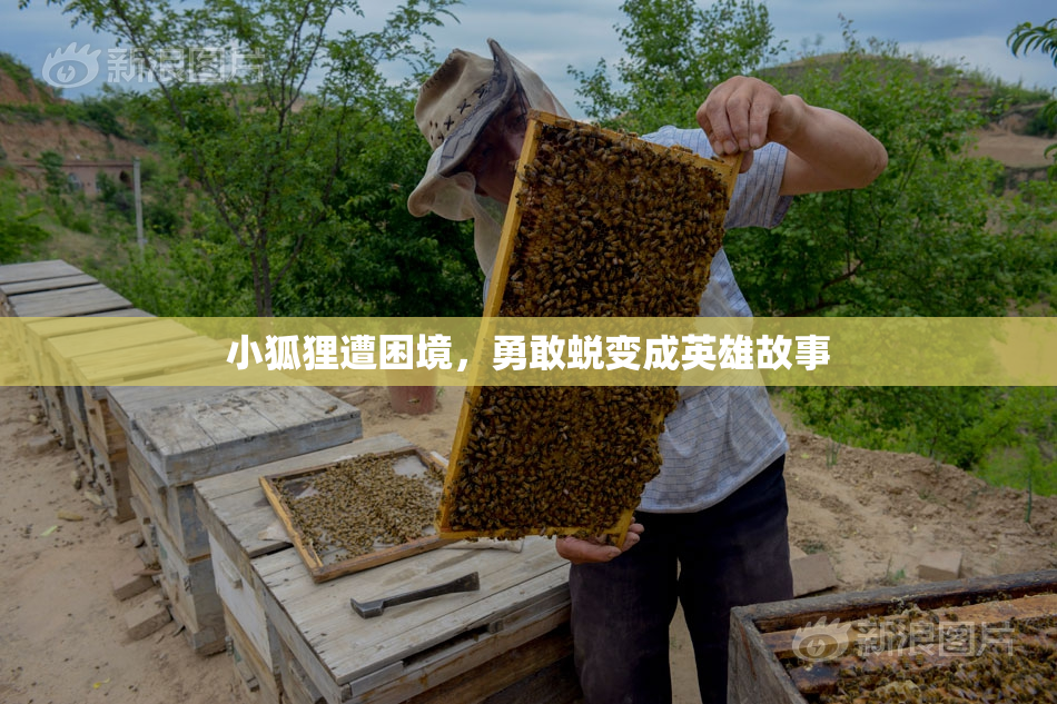 小狐狸遭困境，勇敢蜕变成英雄故事