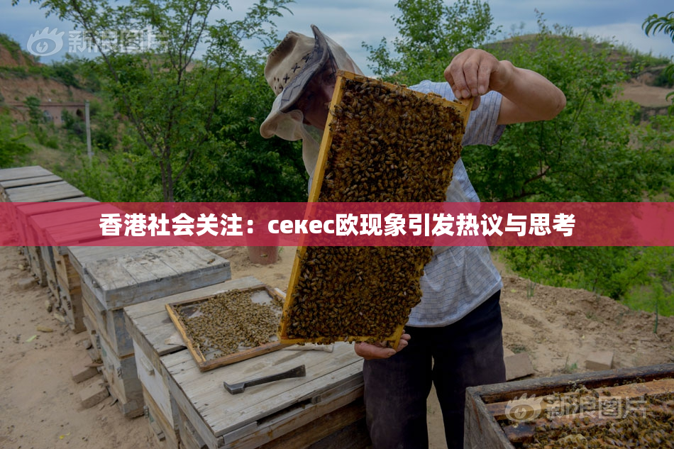 香港社会关注：ceкес欧现象引发热议与思考