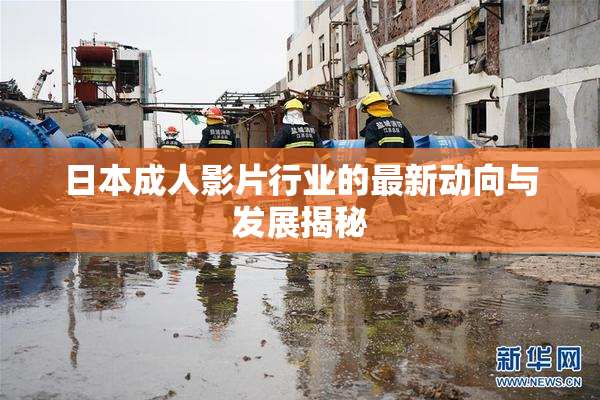 日本成人影片行业的最新动向与发展揭秘