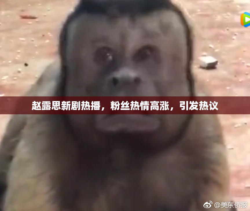 赵露思新剧热播，粉丝热情高涨，引发热议
