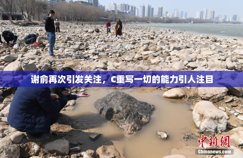 谢俞再次引发关注，C重写一切的能力引人注目