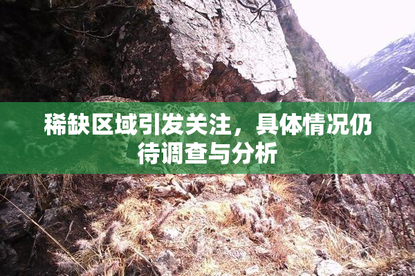 稀缺区域引发关注，具体情况仍待调查与分析