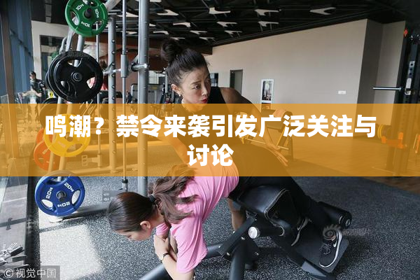 鸣潮？禁令来袭引发广泛关注与讨论