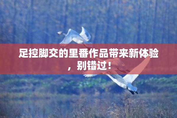 足控脚交的里番作品带来新体验，别错过！