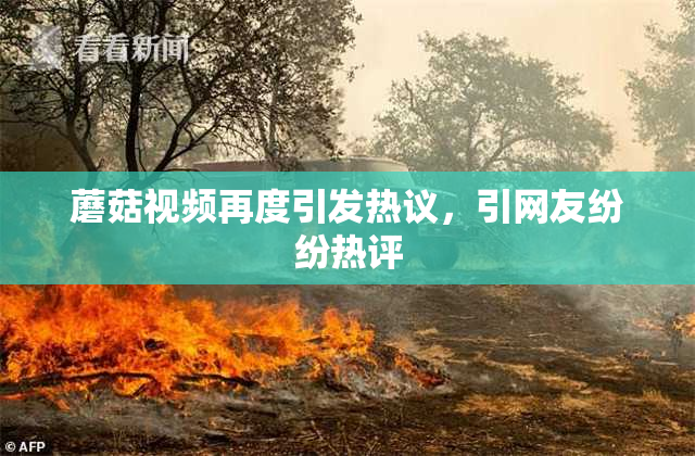 蘑菇视频再度引发热议，引网友纷纷热评