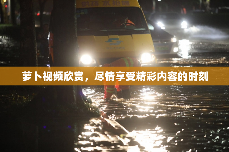 萝卜视频欣赏，尽情享受精彩内容的时刻