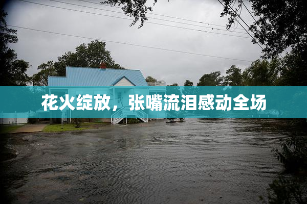 花火绽放，张嘴流泪感动全场