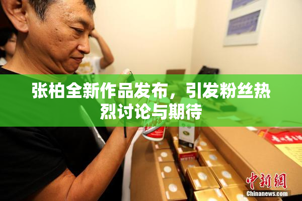 张柏全新作品发布，引发粉丝热烈讨论与期待
