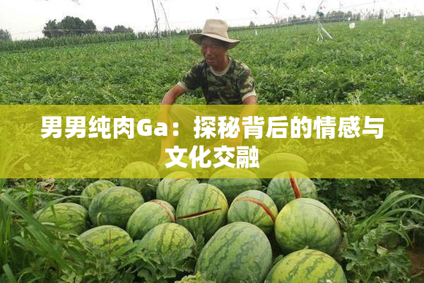 男男纯肉Ga：探秘背后的情感与文化交融